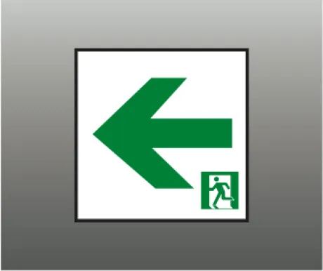 AR46857E