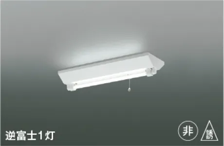 KAR46966L1