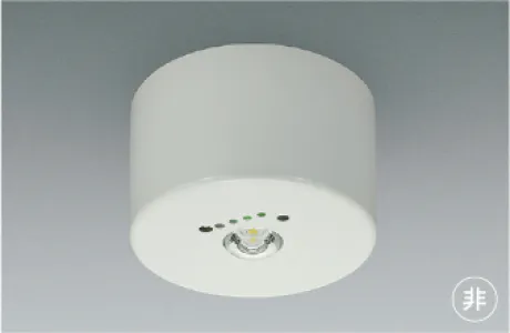 KAR52837