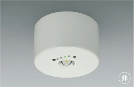 AR52838