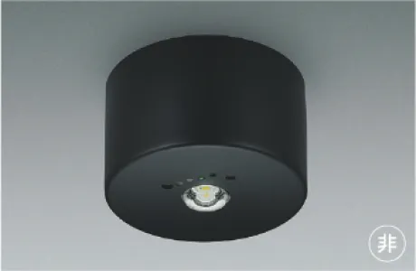 AR52841