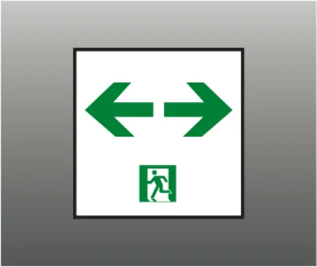 AR54539E