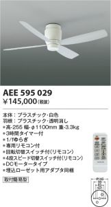 AEE595029