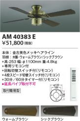 AM40383E