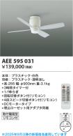 AEE595031