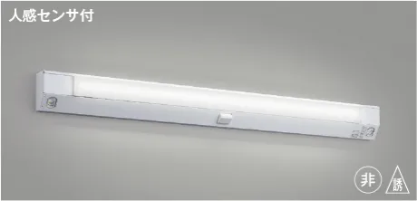 KAE49950L