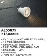 AE55879