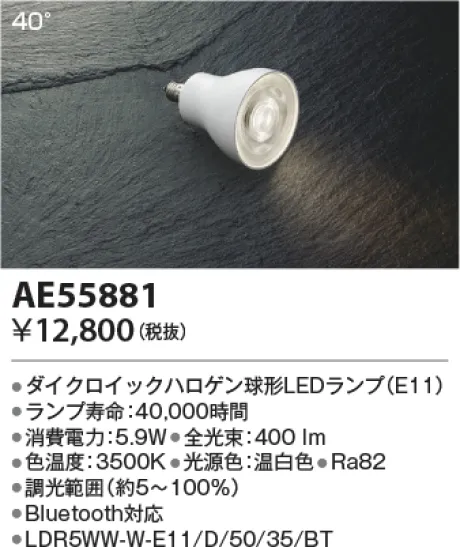 AE55881