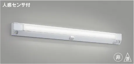 AE52195