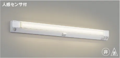 AE52196