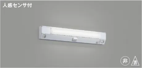 AE52199