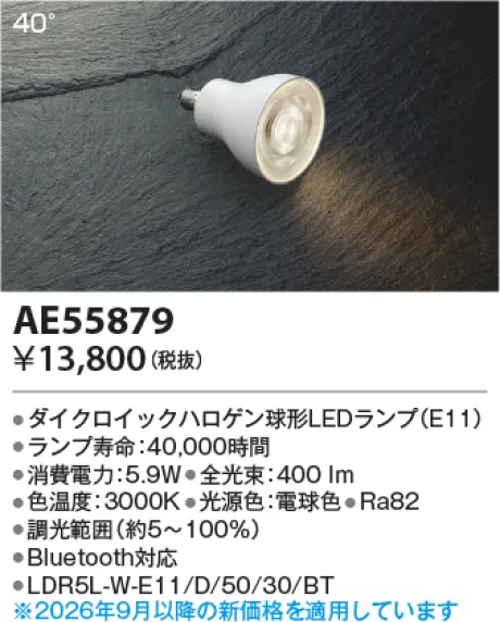 AE55879