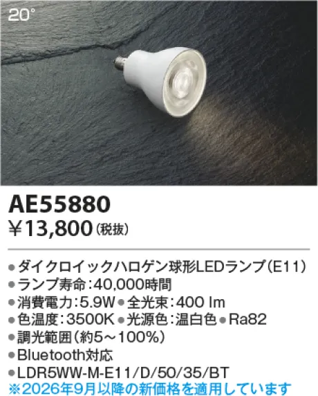 AE55880