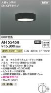 AH55458