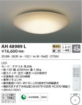 AH48989L