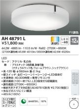 AH48791L