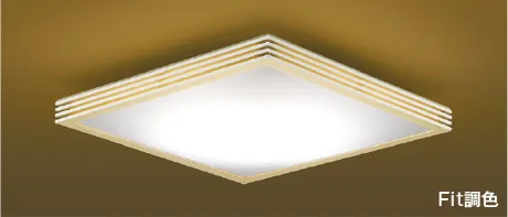 AH48742L