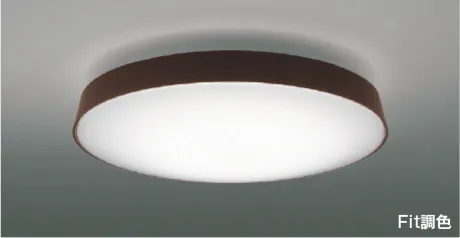 AH48971L