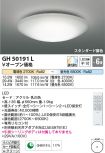 GH50191L