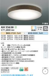 AH55638