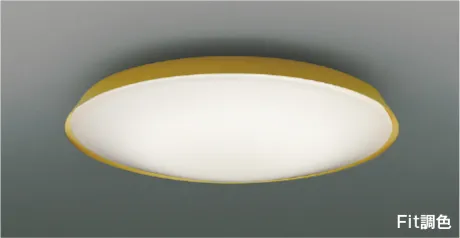 AH55829