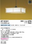KAP50301