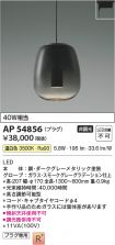 AP54856