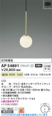 AP54891