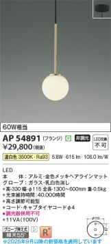 AP54891