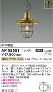 AP55531