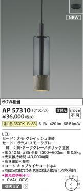 AP57310