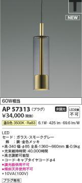 AP57313