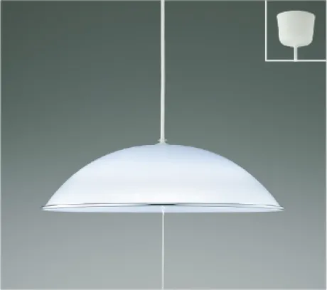 KAP50287