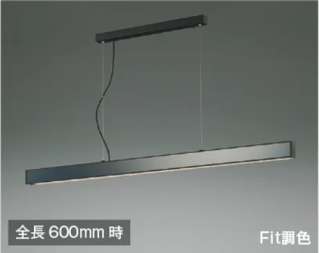 AP51107