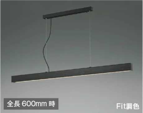 AP51110