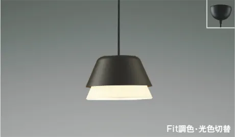 AP51169