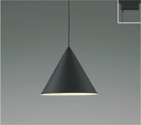 AP55561