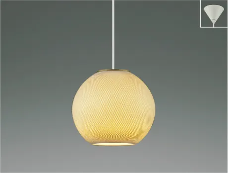 AP55582