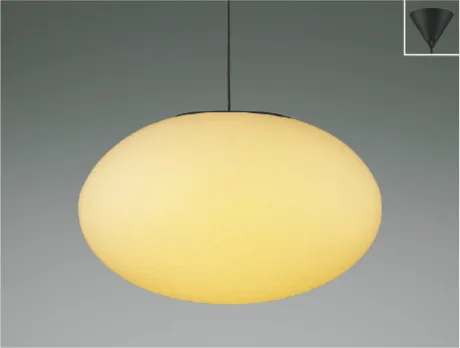 AP55584