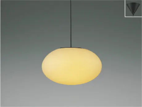 AP55585