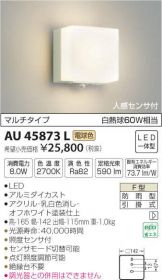 AU45873L