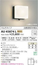 AU45874L
