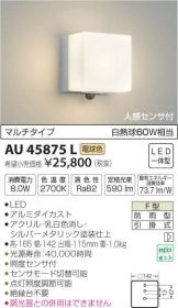 AU45875L