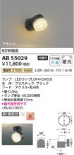 AB55029