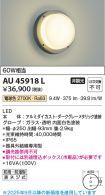 AU45918L