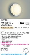 AU45919L