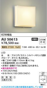 AU50613