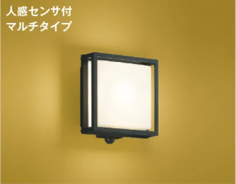 AU45056L