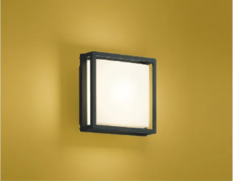 AU45057L