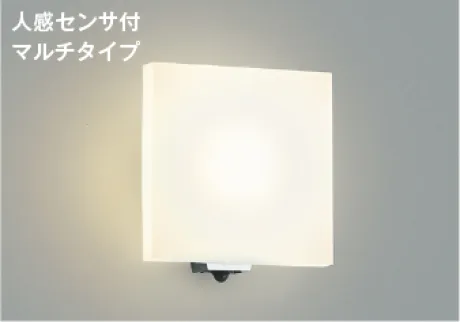 AU45207L